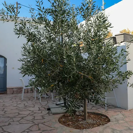 Serendipity Living Family * Katsounion